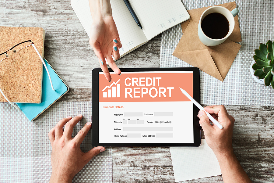 What To Look For On Your Credit Report ApplyNowCredit